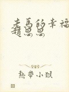 老马的幸福生活赵思思