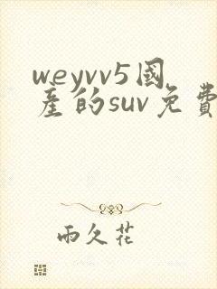 weyvv5国产的suv免费
