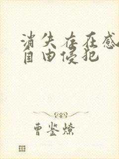 消失存在感消失自由侵犯