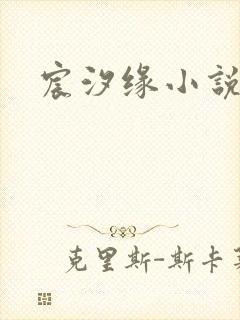 宸汐缘小说