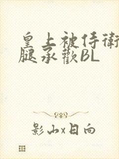皇上被侍卫抵开腿承欢BL封面