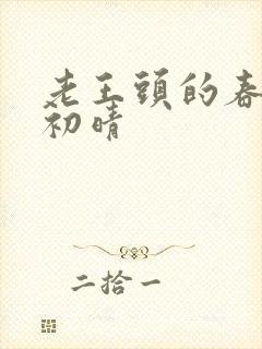 老王头的春天林初晴封面