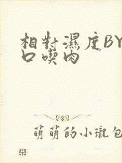 相对湿度BY大口吃肉