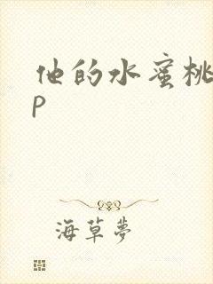 他的水蜜桃pop封面