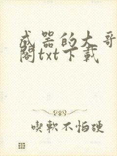 成器的大哥笔趣阁txt下载