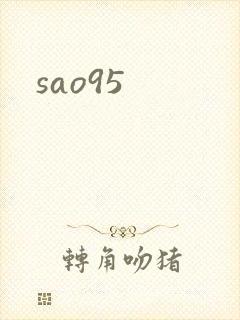 sao95封面