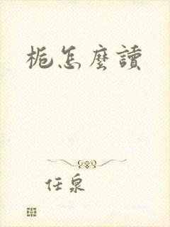 栀怎么读封面