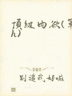 顶级肉欲(军高h)