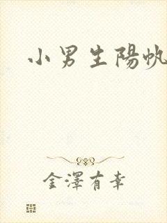 小男生阳帆封面