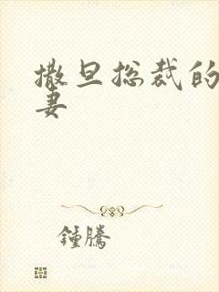 撒旦总裁的下堂妻封面