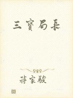 三宝局长封面
