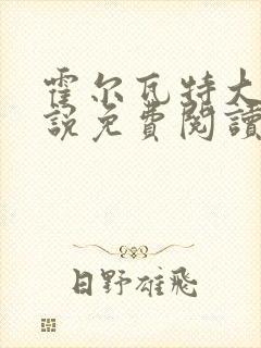 霍尔瓦特大街小说免费阅读封面