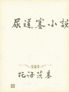 尿道塞小说