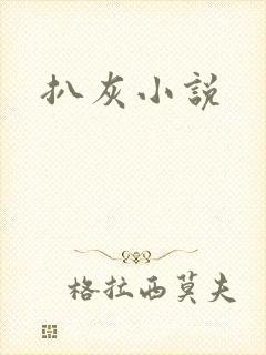扒灰小说封面