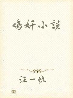 鸡奸小说封面