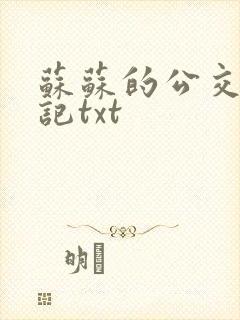 苏苏的公交车日记txt