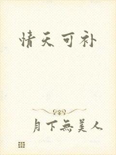 情天可补