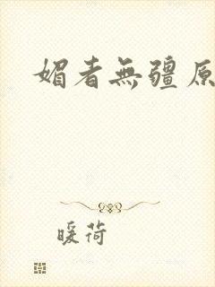 媚者无疆原著