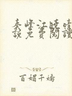 秦峰江晓晴的小说免费阅读