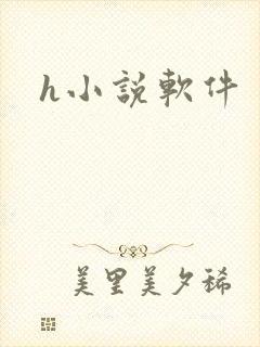 h小说软件