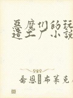 恶魔们的玩具改造工厂小说