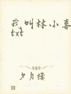我叫林小喜小说txt