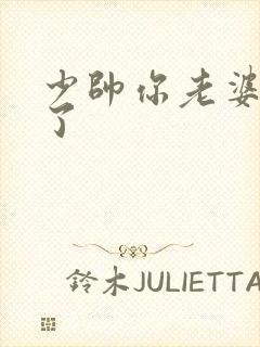 少帅你老婆又跑了