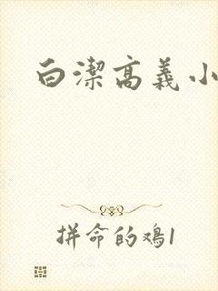 白洁高义小说