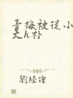 青梅被从小摸到大h补封面