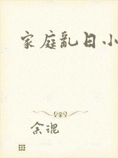 家庭乱日小说