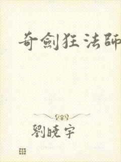 奇剑狂法师