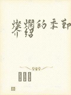 灿烂的季节剧情介绍封面