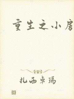 重生之小房东
