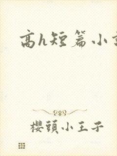 高h短篇小说