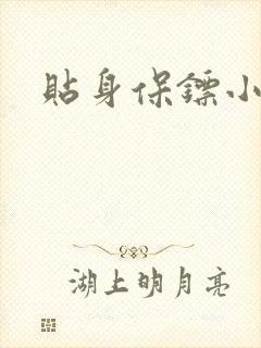 贴身保镖小说