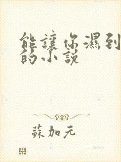 能让你湿到不行的小说