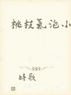 桃枝气泡小说