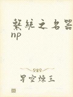 系统之名器攻略np