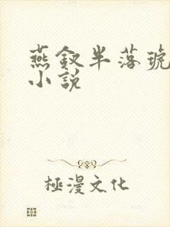 燕钗半落琥珀糖小说