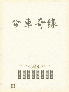 公车奇缘