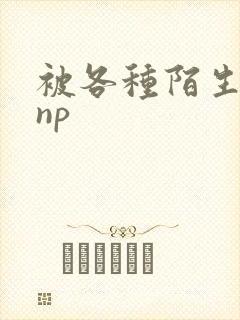 被各种陌生人 np