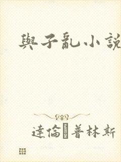与子乱小说封面