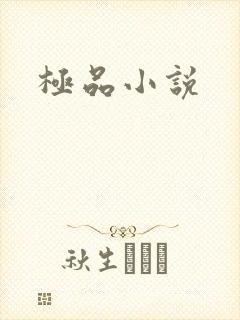 极品小说