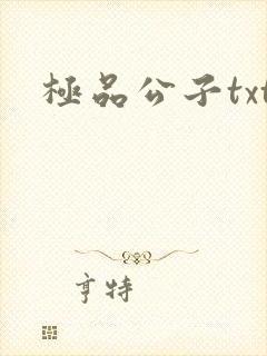 极品公子txt