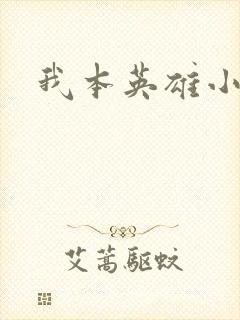 我本英雄小说
