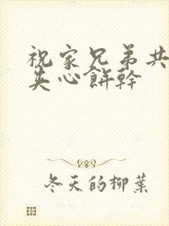祝家兄弟共享后夹心饼干