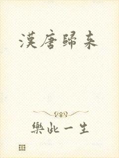汉唐归来