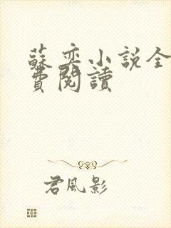苏奕小说全文免费阅读