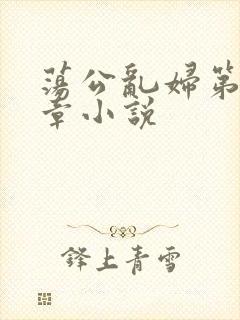 荡公乱妇第51章小说