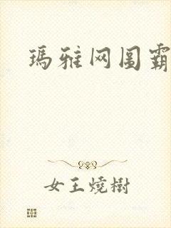 玛雅网图霸天下